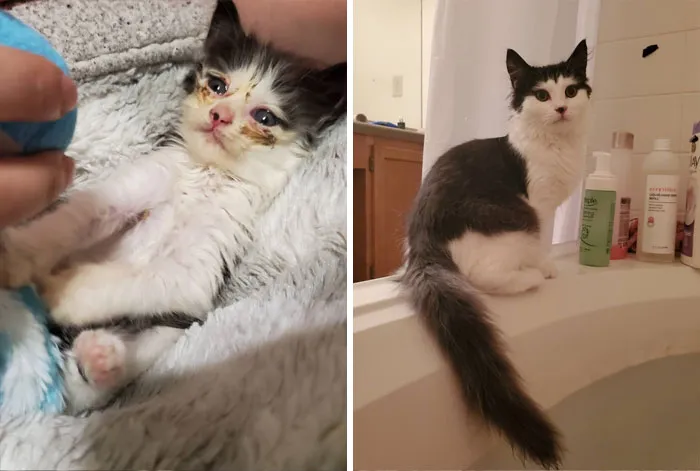 To Think That Luna Used To Fit In The Palm Of My Hand