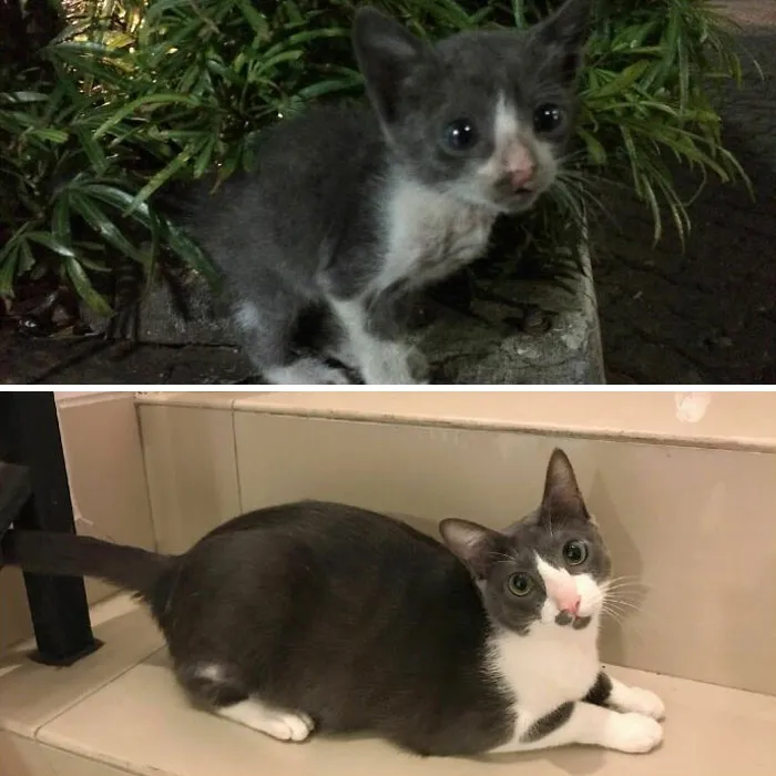 How It Started vs. How It's Going