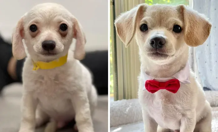 El día que nos conocimos vs. 2 meses después