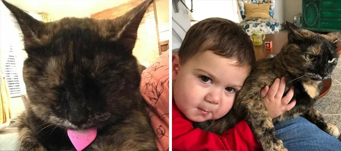 From Blissed To Pissed!