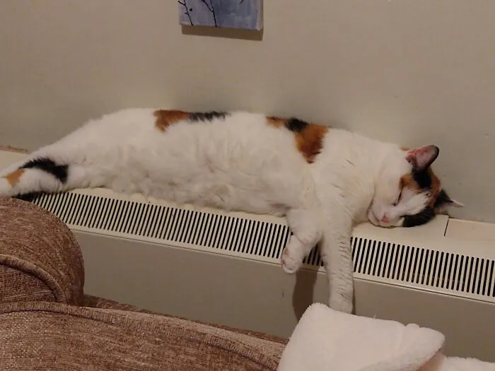 Daren't Turn The Heating Up Too High.