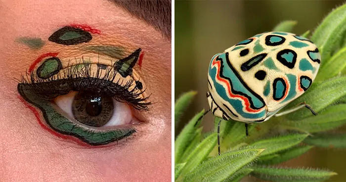 Artist Shows The Beauty Of Insects With Her 30 Matching Eye Makeup Looks