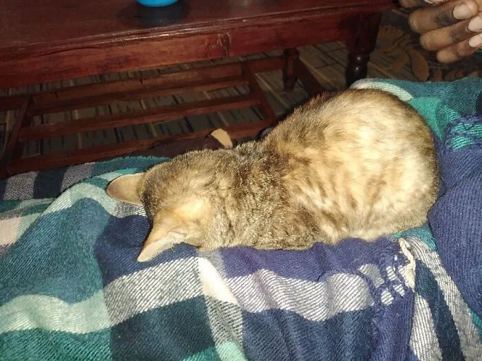 Face Down