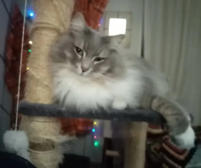My Handsome Boy.