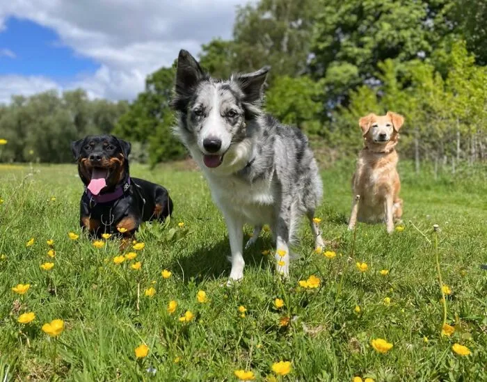 The Girls Look Like They're About To Drop They're First Album...