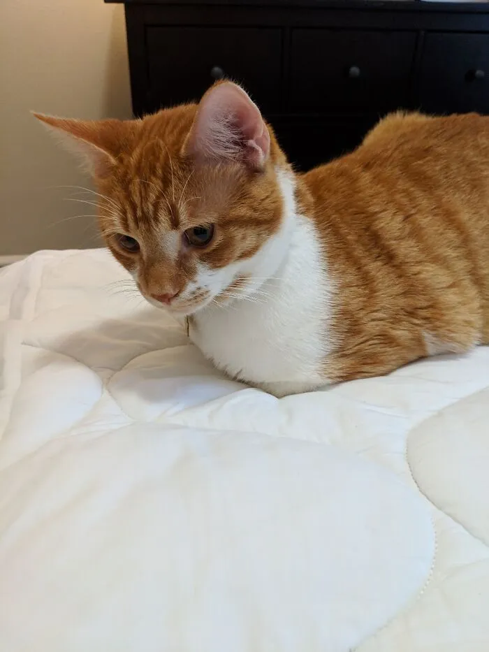 Where Are My Legs?