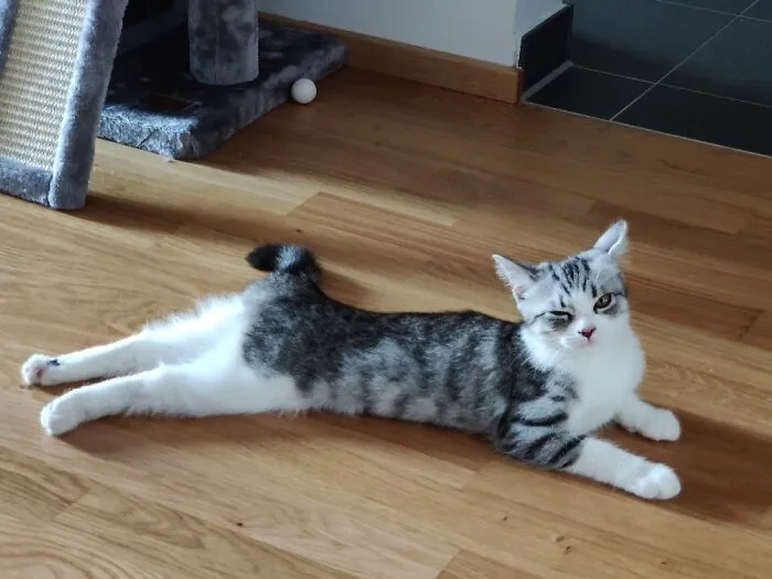 *wink*