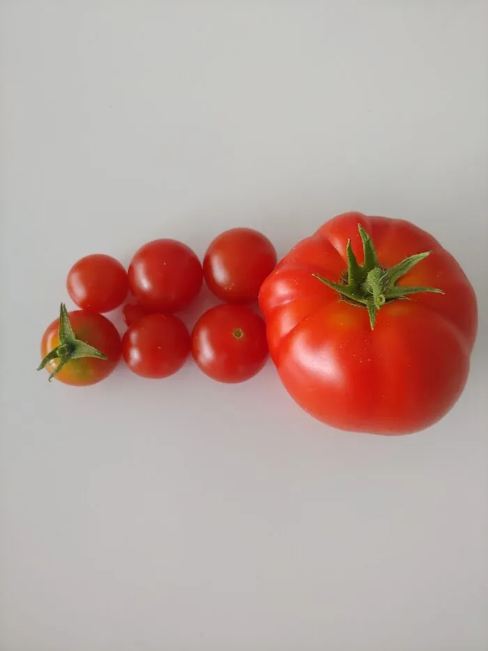 First Harvest