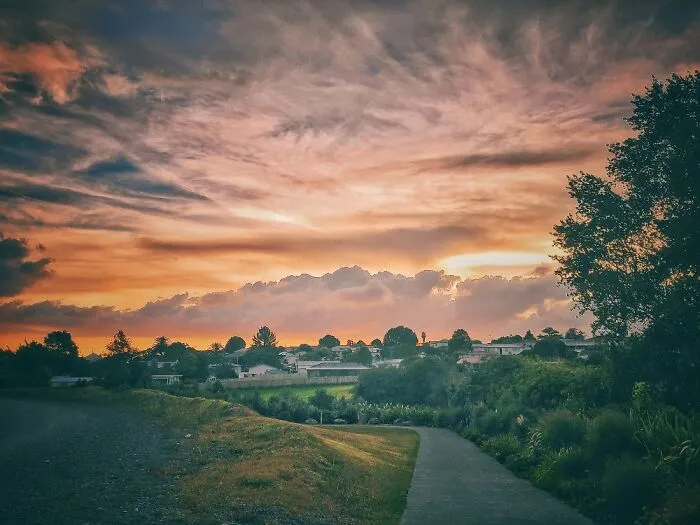 Auckland Suburb, New Zealand, 2021