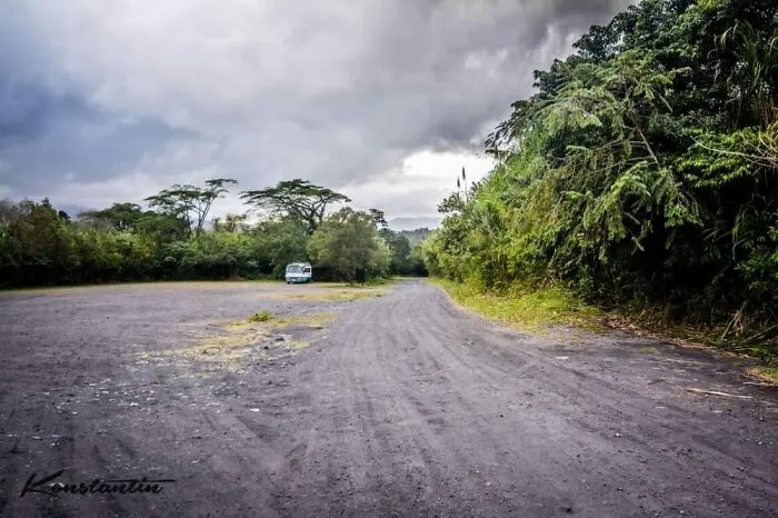 Jungles Of Costa Rica