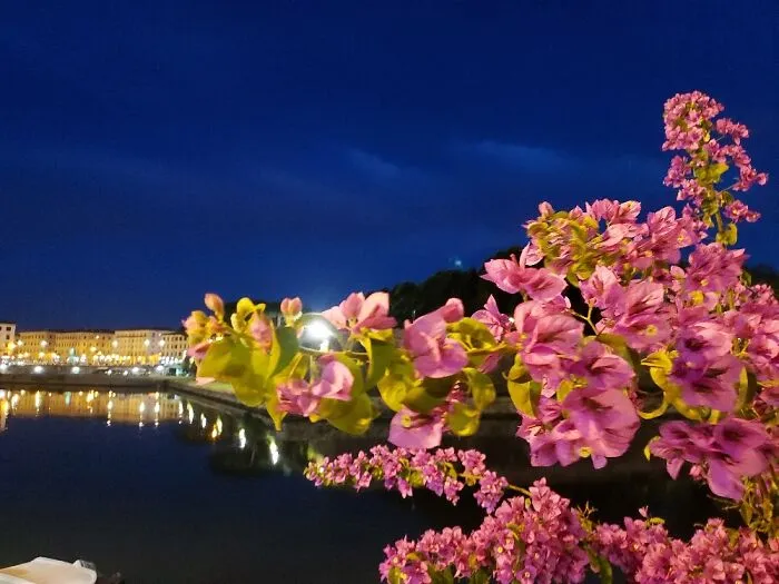 Livorno, Italy