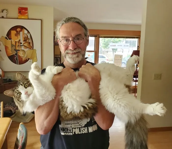 Geoffthekatt Does Not Understand . . . Anything.