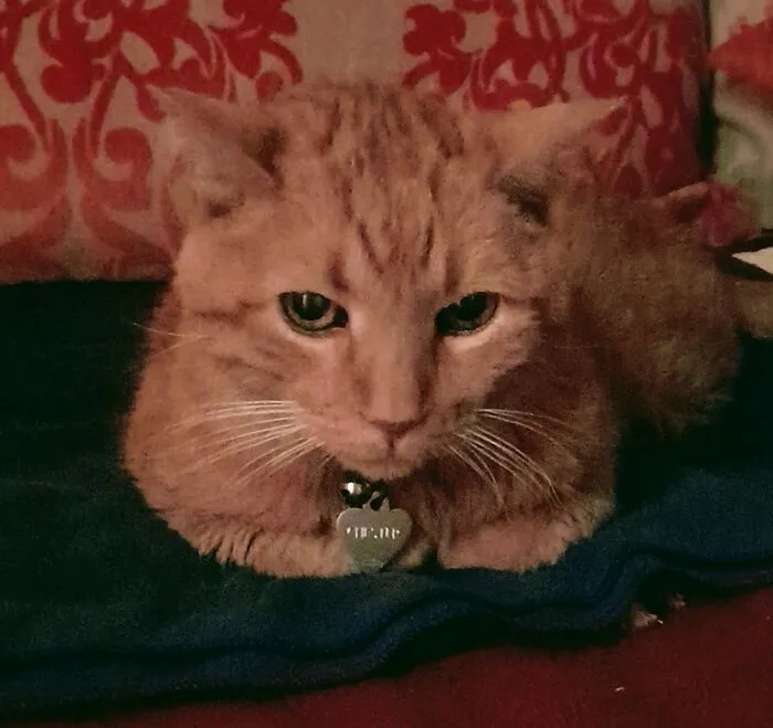 21 Year Old Loaf