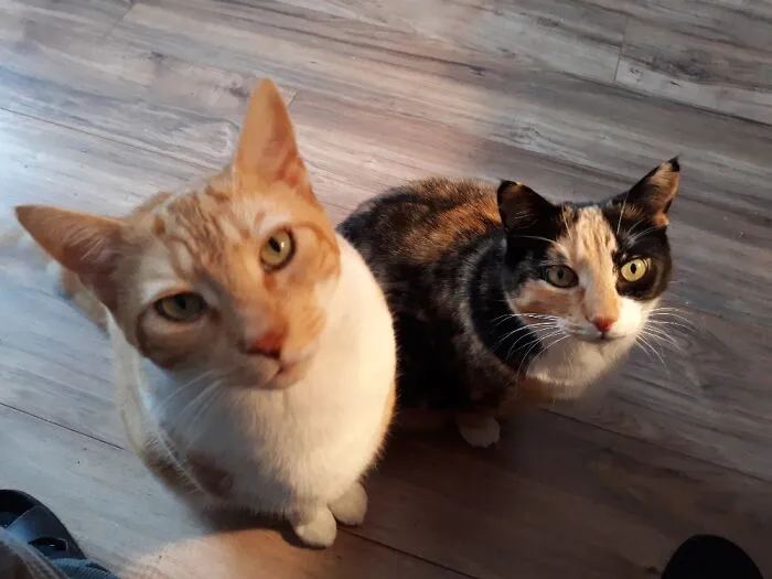 Mama And Son