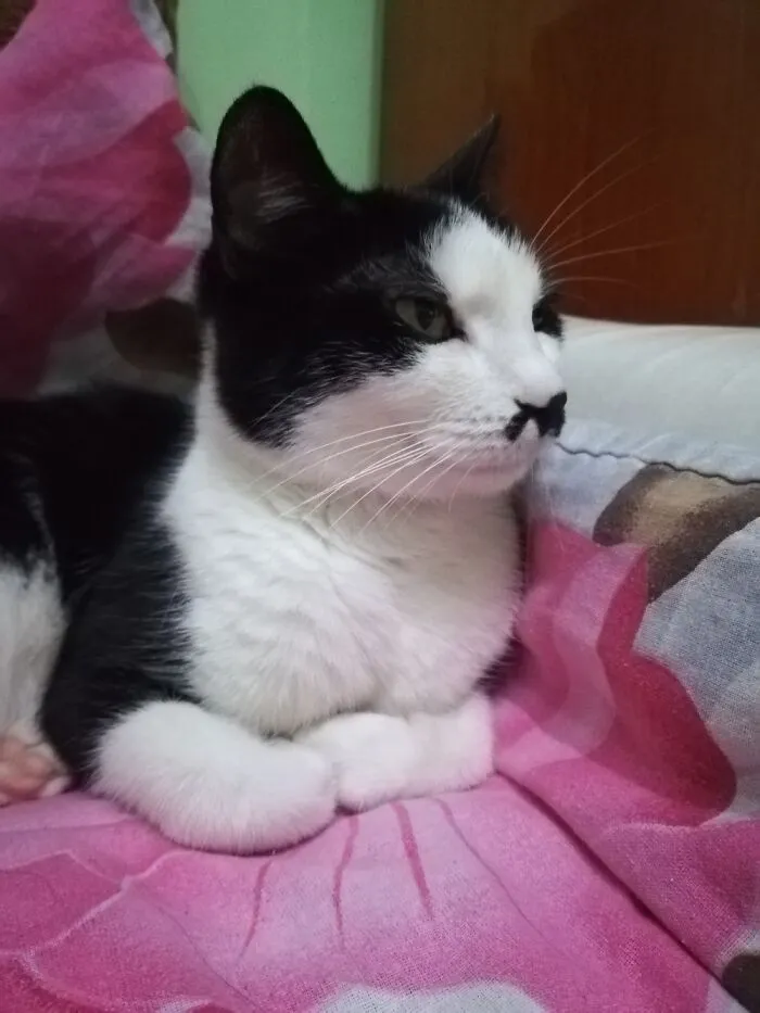 Nina...