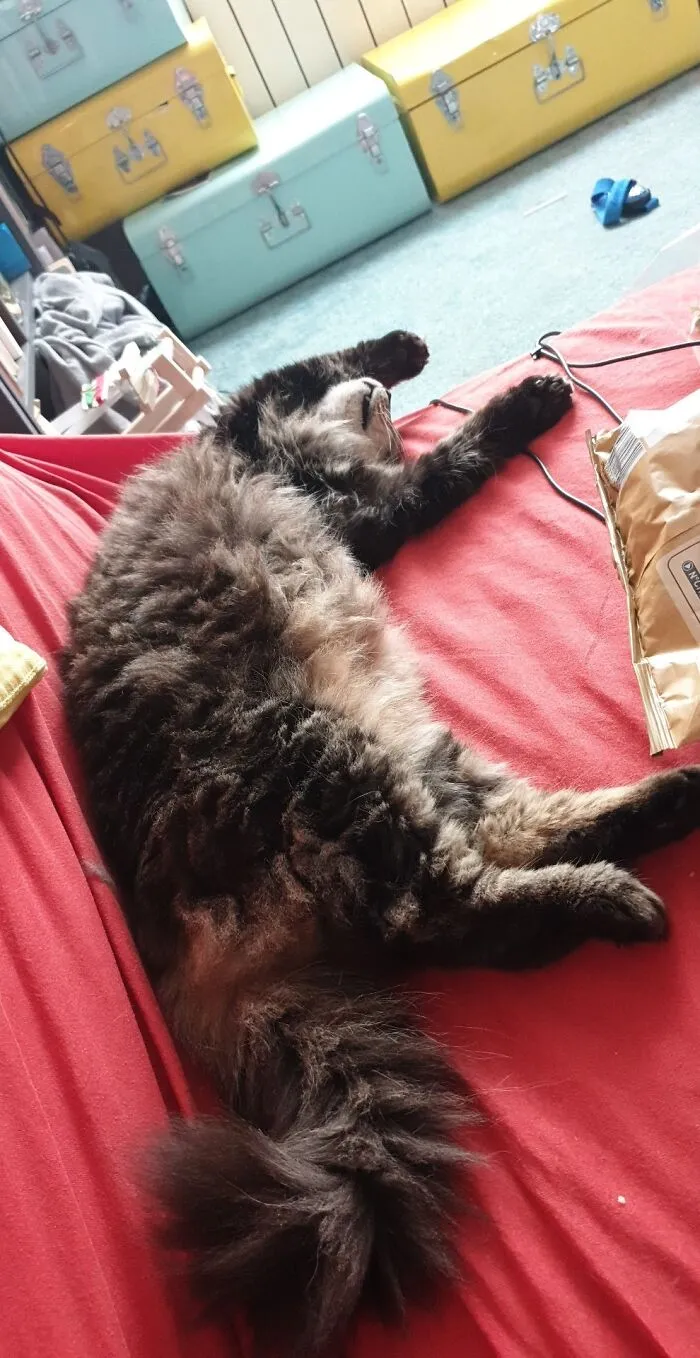 Hard Day
