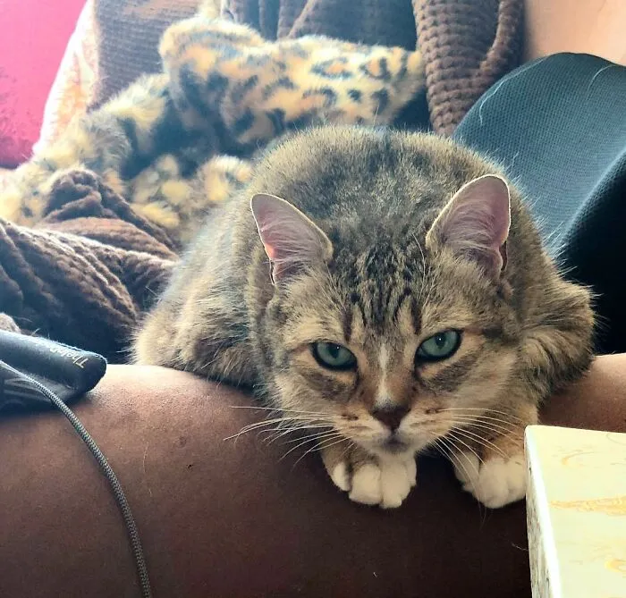 Pixel. ❤️
