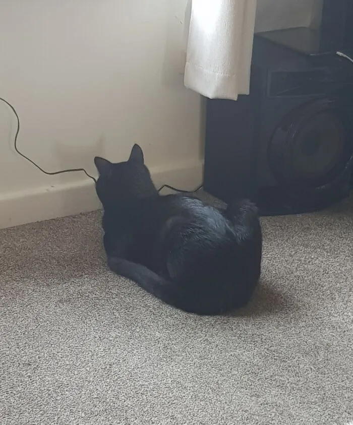 Grumpy, Burnt Loaf.