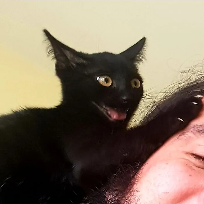 Hail Satan