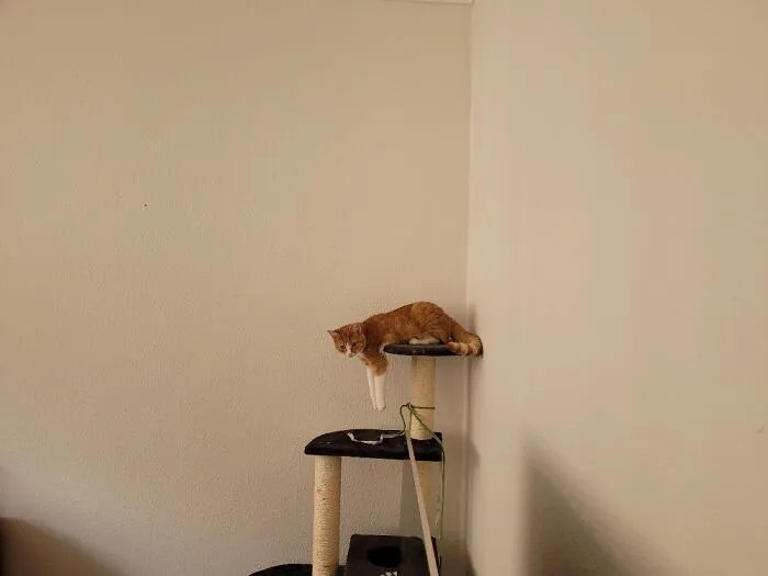Just Hanging Out