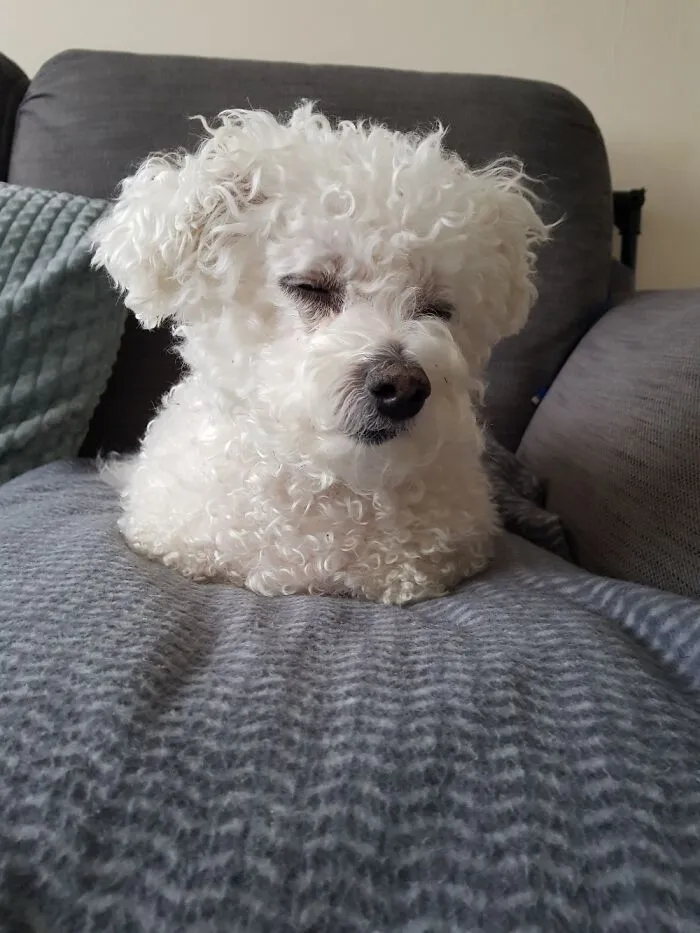 Louie The Loaf