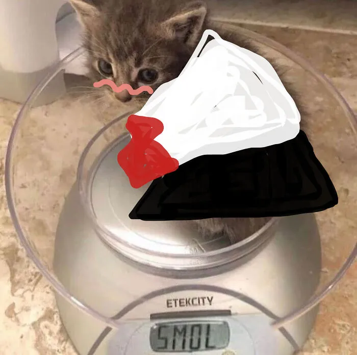 Notice Me Senpai