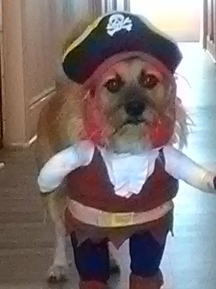 "Capt'n Jaxx Spar-Roo-Oo-Oo"