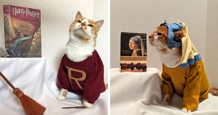 This Library Attracts The Public By Dressing Up One Librarian's Cat As Literary And Movie Icons (100 Pics)