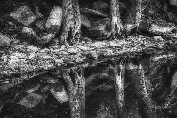 Lake Champlain, NY...creek.