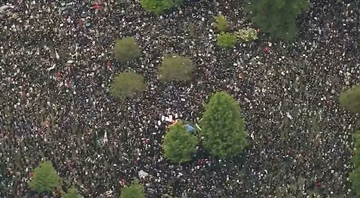 I Initially Thought These Were Small Bushes In A Gravel Flower Bed. Nope. Boston Protest 2020