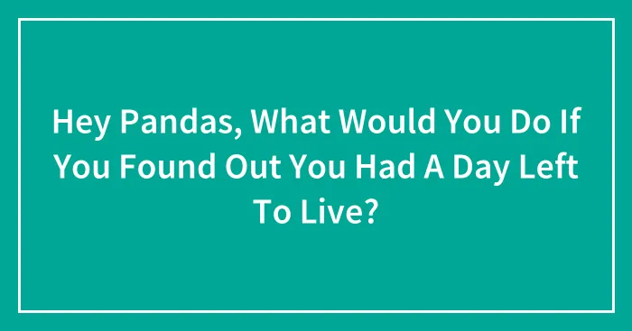 Hey Pandas, What Would You Do If You Found Out You Had A Day Left To Live? (Closed)