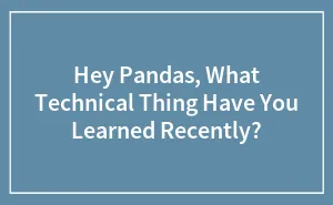 Hey Pandas, What Technical Thing Have You Learned Recently? (Closed)