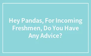 Hey Pandas, For Incoming Freshmen, Do You Have Any Advice? (Closed)
