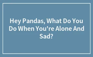 Hey Pandas, What Do You Do When You're Alone And Sad? (Closed)