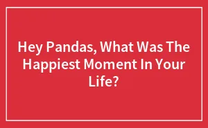 Hey Pandas, What Was The Happiest Moment In Your Life? (Closed)