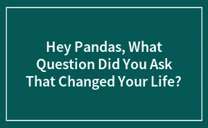 Hey Pandas, What Question Did You Ask That Changed Your Life? (Closed)