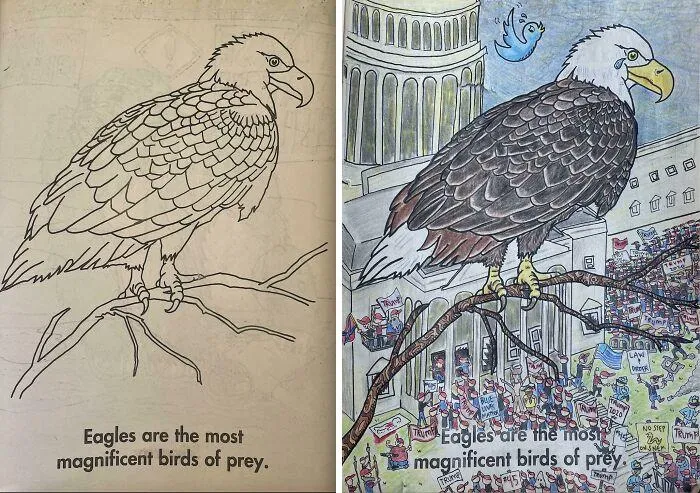 Águila calva