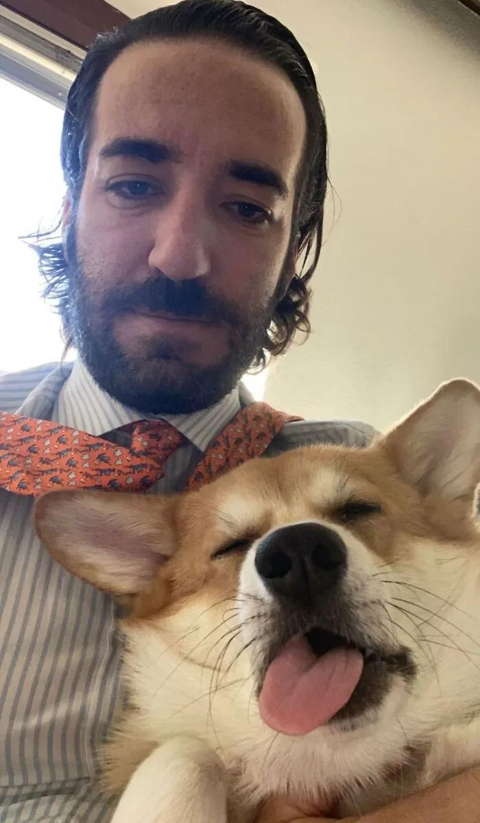 Corgo, el Corgi, desaprueba los lunes en la oficina