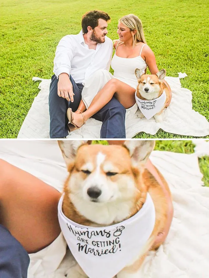 Cómo se siente realmente Seeley porque se casen sus humanos