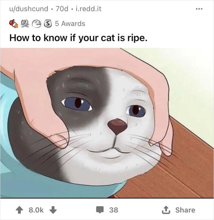 People Are Taking WikiHow Images Out Of Context And Adding Their Own Funny And Dark Captions (50 New Pics)