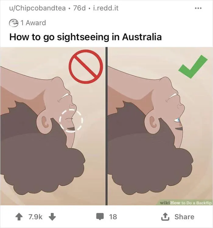 WikiHow image humor; illustration of backflip technique with a sightseeing joke.