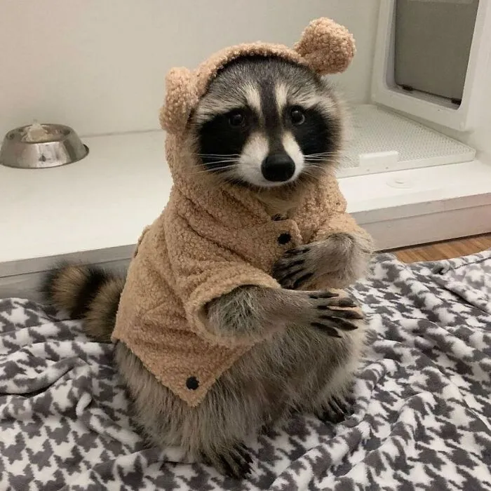 Listos para el invierno