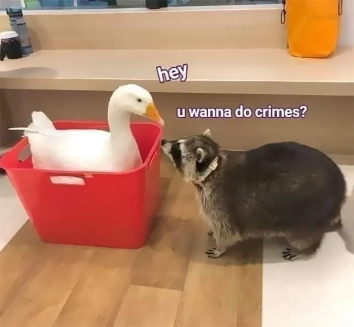 Recruiting Others For Trash Crime!