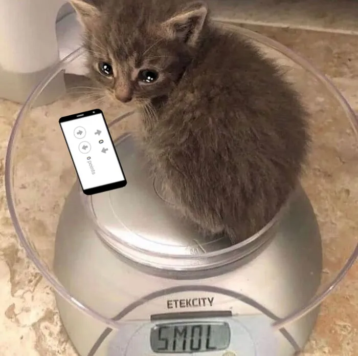 Crying Cat Meme