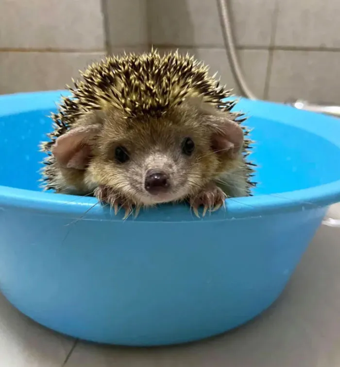 Hora de salir del baño
