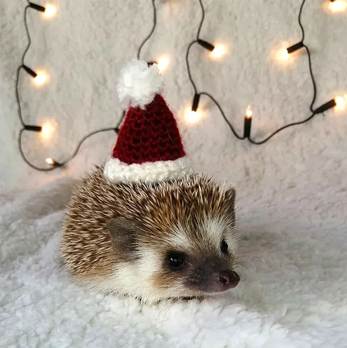 She's Too Cute In Her Hat