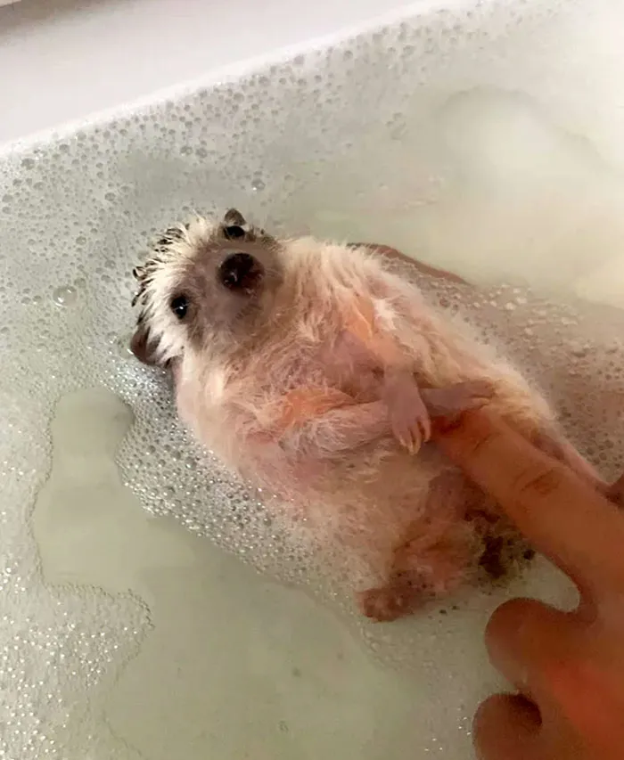 Hiro ama sus baños de burbujas