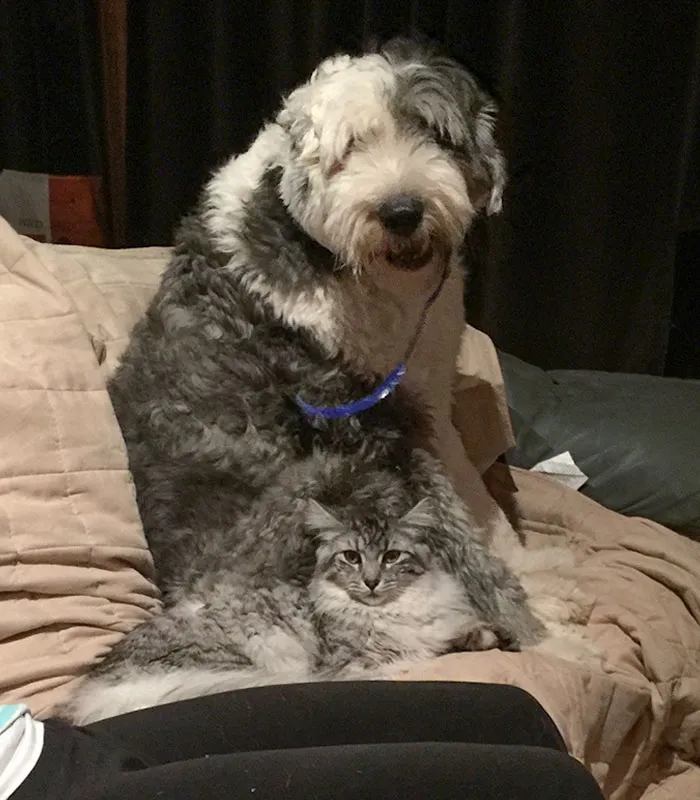 Brothers From Another Mother