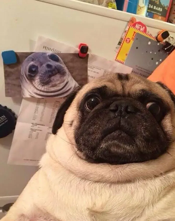 Found His Brother