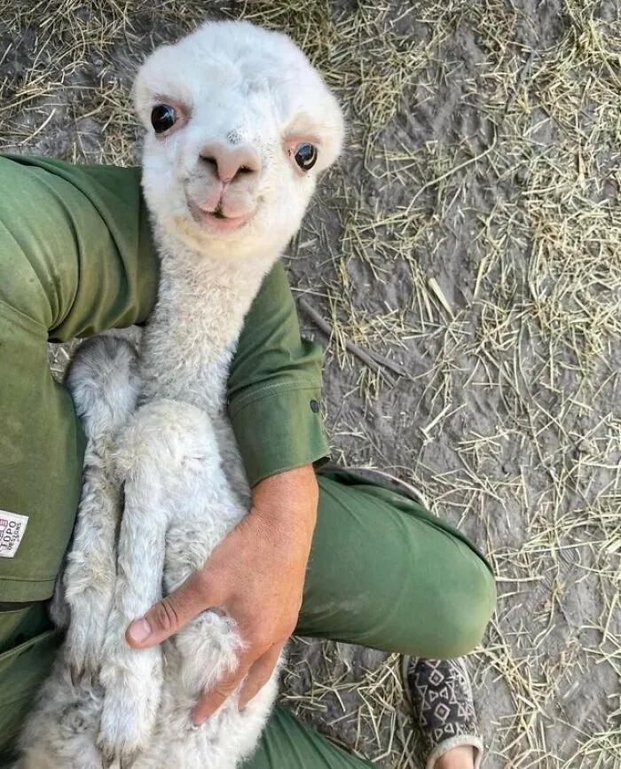 This Online Group Has People Sharing Only The Most Blessed Pics And It's Like Internet Heaven (50 Pics)